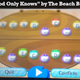 Image for article titled How To Compose A Great Town Theme Song In Animal Crossing: New Leaf